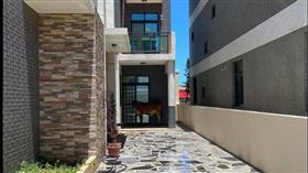 黃牛躲家門前避陽萌翻網(圖／翻攝自爆怨公社)
