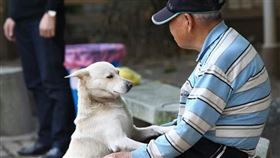 房貸七十古來稀，2020年竟大增三成，歲數30~49，房市購屋主力（圖／資料照）