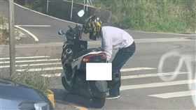  安全島,路殺,停車,貓屍(翻攝自 新竹爆料公社)