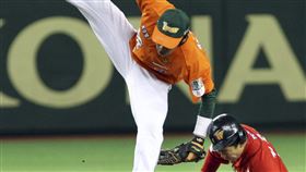 ▲統一獅與SK飛龍2007、08年在亞洲職棒大賽激戰。（資料照／美聯社／達志影像）