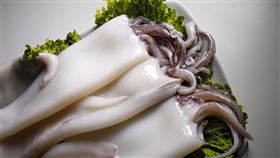 魷魚 花枝（圖／翻攝自Pixabay圖庫）