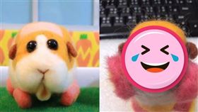 天竺鼠車車,猴子,走鐘,車禍(翻攝自 爆廢1公社)