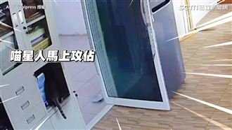 失手將喵皇關禁閉　最後靠3毛孩救援