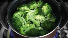 綠花椰、菜苗(圖/pexel)