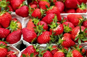 草莓,農藥,麵粉,食用鹼。（圖／翻攝自Pixabay）