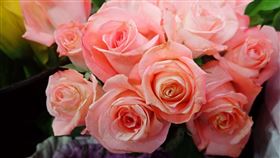 玫瑰（新北市政府農業局提供）