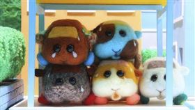 名家專用/ 女人瘋（勿用）