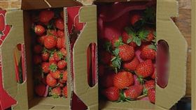 女吃10多顆慘發燒吐2次（圖／謝小姐授權提供）