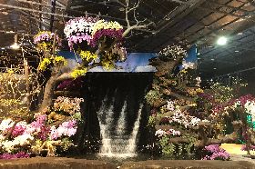 2021台灣國際蘭展停辦