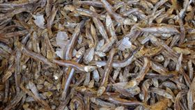 小魚乾 圖／Pixabay