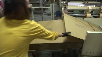 獨／紙箱短缺出貨卡　疫情全球大缺櫃