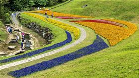大溝溪花海盛開（圖／台北市工務局提供）