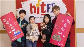 Hit Fm號召全台毛起來愛協助浪浪找到溫暖的家 為浪浪發聲的陳零九 集結愛心大紅包送暖動物協會 Hit Fm提供
