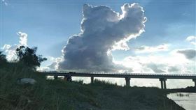 日本,天空,雲,貓咪 （圖／翻攝自@nakamanian Twitter）