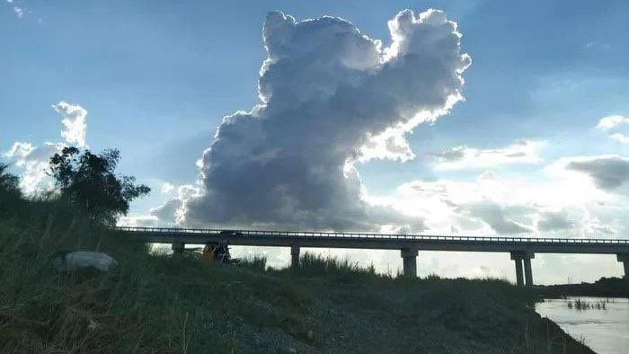 貓咪佔領世界！這天空數萬人看完笑了