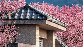 名家專用／台灣旅行趣（勿用）