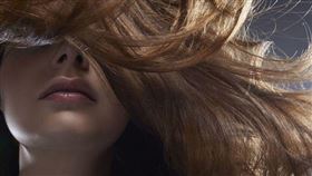 名家專用／Bazaar（勿用）