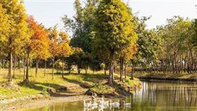 名家專用／台灣旅行趣（勿用）