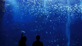 Xpark夜間入場獨享浪漫企鵝戀人拿鐵（圖／業者提供）