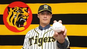 陳偉殷穿上阪神虎球衣。（圖／翻攝自阪神虎推特）