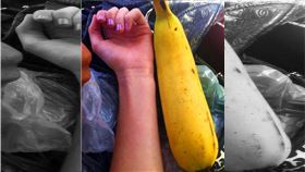 世界最大芭蕉　圖／kknews