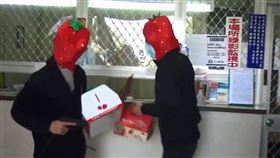 『搶劫！現金、草莓我全都要！』 （圖／翻攝畫面）