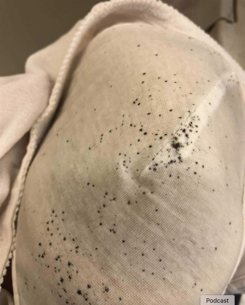 辛苦存錢買房，人妻卻發現入住後不僅身體微恙，甚至長相「越來越奇怪」，眼睛紅腫出血、臉部發癢走樣。圖為黴菌示意圖（示意圖／資料照）