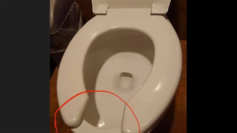 不是保護蛋蛋！馬桶坐墊缺口原因曝光