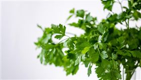 中國農村老百姓用生活中常見的香菜就識破了日軍的真面目。（圖／翻攝自Pixabay）