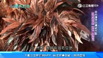 雞毛撢子純手工　耐心綁出一甲子功力