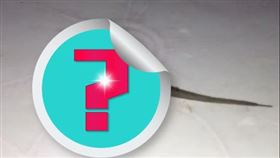 男子在臥室牆壁上驚見「半蟲半鼠」的生物。（圖／翻攝自Thawiwat Sangnoi推特） 