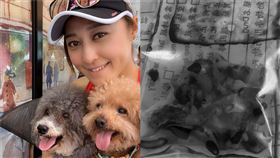 （圖／翻攝自李思雅IG）