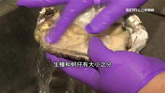 蚵仔、牡蠣、生蠔怎分？海鮮達人解惑