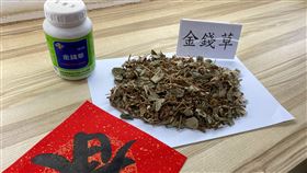 泌尿道,金錢草,蔡宗璟醫師,（圖／蔡宗璟醫師提供）