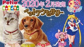 名家專用／ELLE（勿用）