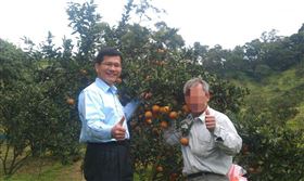 內湖成功路五段一間觀光果園成功柑橘園為入園費與遊客起衝突，林佳龍40年前曾為這間果園處理土地糾紛 翻攝畫面