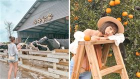 （圖／Tripbaa趣吧！達人帶路）