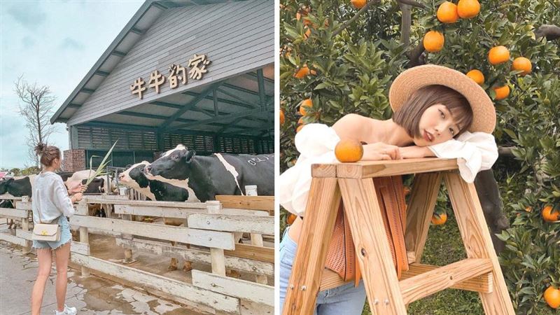 中部11個親子走春景點推薦