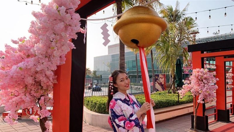 一秒飛日本！高雄草衙道「櫻花」盛開