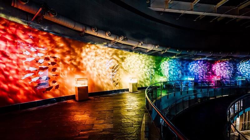 新登場！屏東海生館色水廊道超好拍！