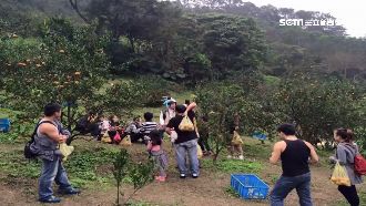 逛果園起衝突　鄰居透露：已非首次