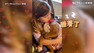 小蘿為狗唱晚安曲　網讚：天使聲音