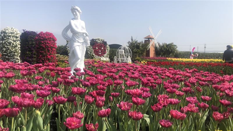 台中單車輕旅行！邊騎車邊賞花超享受