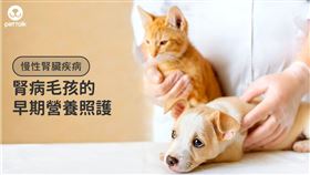 ▲（圖／翻攝自PetTalk：說寵物）