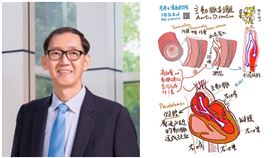 主動脈剝離。圖/世界先進提供、Dr.Bird授權提供