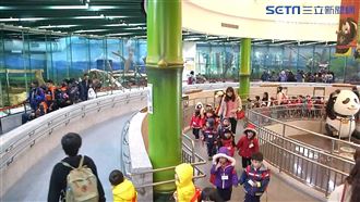 春節防疫減群聚　景點擬重啟人流警示