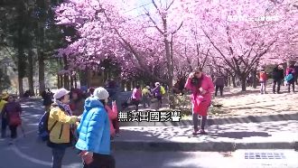 春節優惠吸人潮　北花來回僅150元