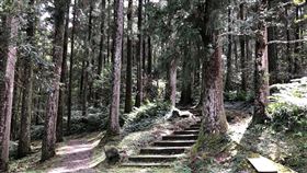 林務局推薦12星座春節這樣玩森林農委會林務局今年特依4大星象特質，為12星座規劃國家森林遊樂區春節攻略，滿足火、風、水、土象不同需求，歡迎民眾春節連假走入大自然、享受滿滿芬多精。（林務局提供）中央社記者楊淑閔傳真　110年2月2日