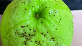 芭樂長斑能吃？真相曝　挑選秘訣公開（圖／翻攝自爆系知識家臉書）