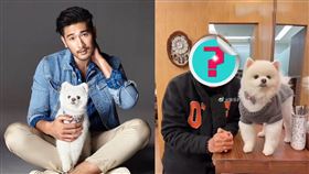 高以翔,高以翔爸爸/娛樂扒叔微博